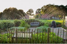 Gartenbewässerung planen: Systeme, Kosten & Anleitung Gartenbewässerung planen: Systeme, Kosten & Anleitung